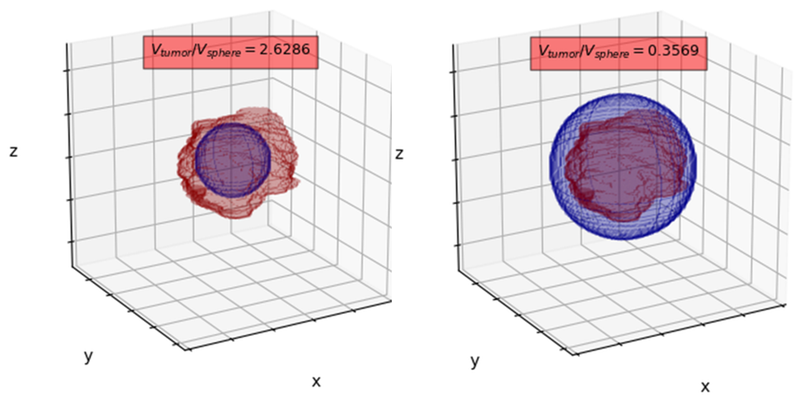 graphs from the analysis of the algorithm for automatic segmentation of the brain and PACS workflow