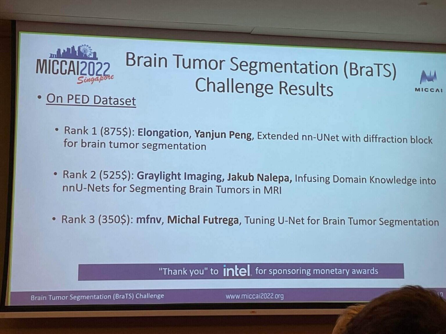 Brain Tumor Segmentation Challenges Graylight Imagings Success 1530