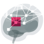 An icon depicted a symbol of medical algorithms based on deep learning techniques. There is a gray brain image with neural network and also magenta square on the icon.