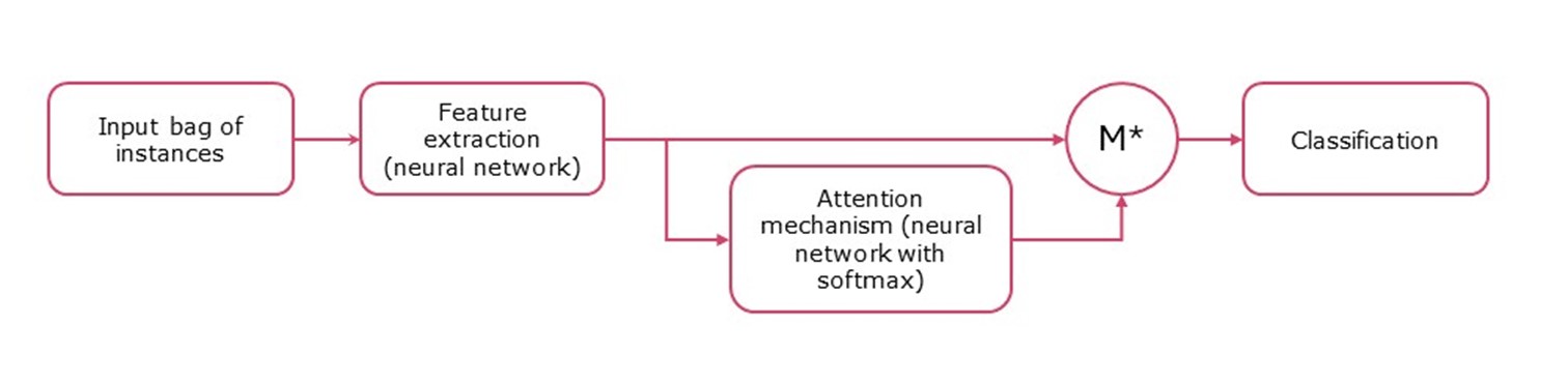 a graph presenting an attention-based Multi-instance learning algorithm proposed by Ilse, Tomczak, and Welling in 2018